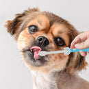 Toothbrush Kit For Pets (2pcs)