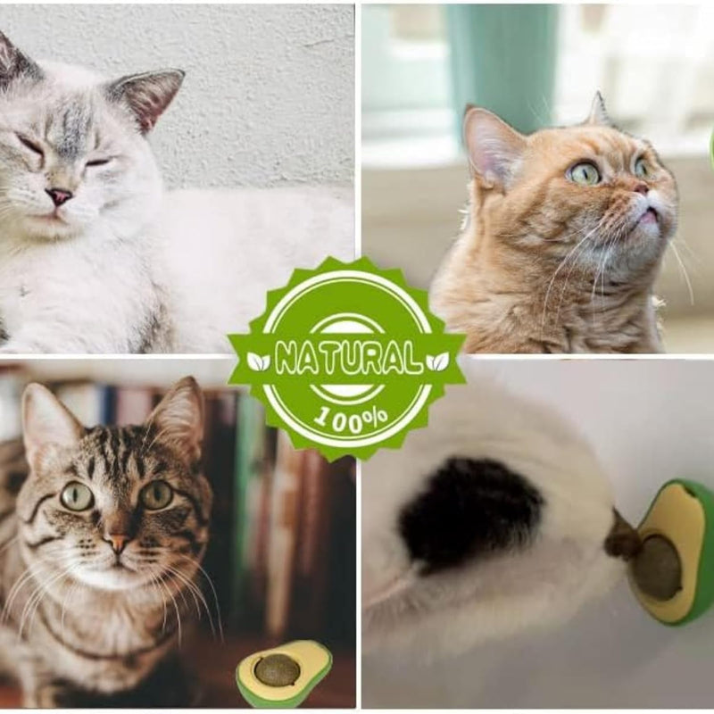 Avocado Shape Catnip Ball Toy For Cats