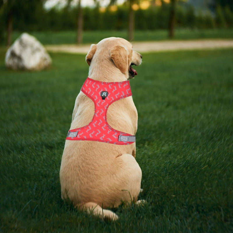 Adjustable Harnesses For Dogs