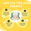 Adjustable Dog & Cat Harness - Comfy Walking & Training Vest Harness