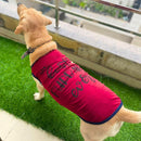 Summer T-shirt For Pets