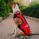 Summer T-shirt For Pets