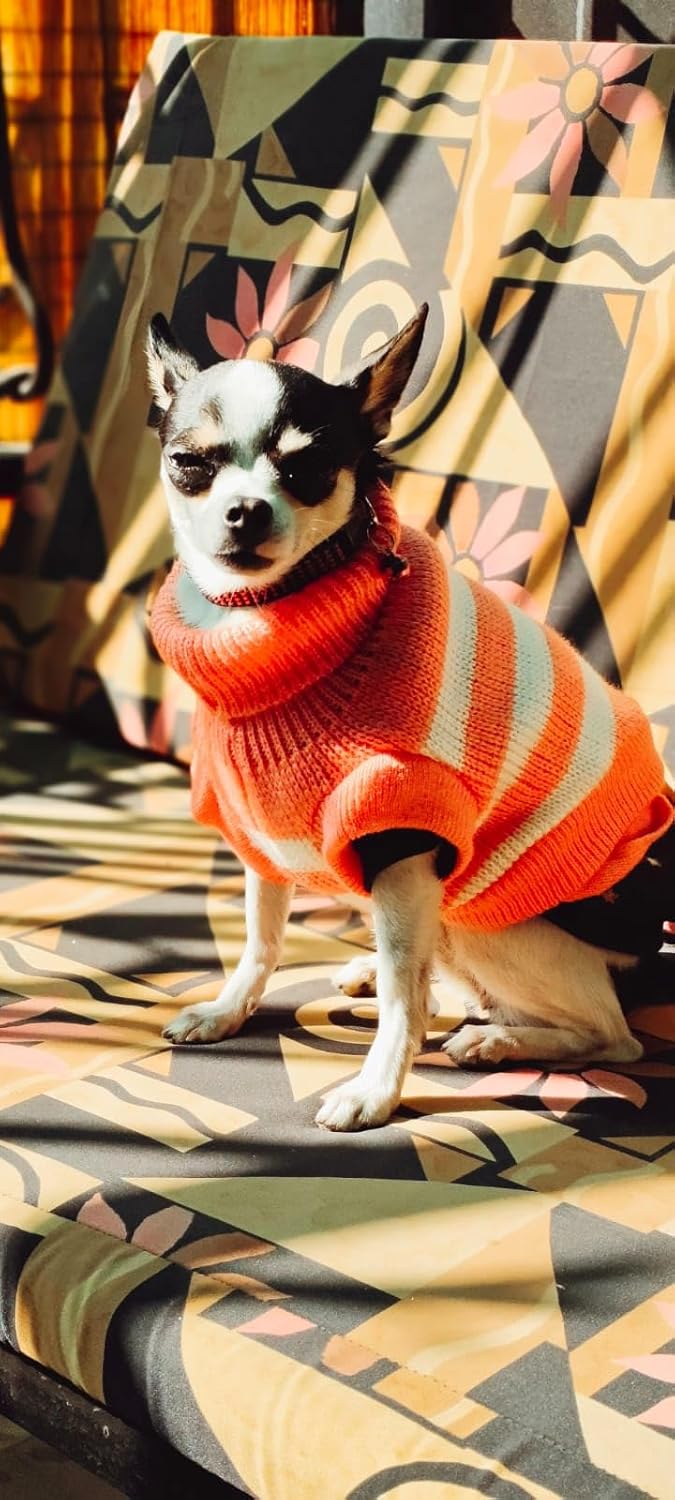 Sweater For Small Dogs Cats (Peach)