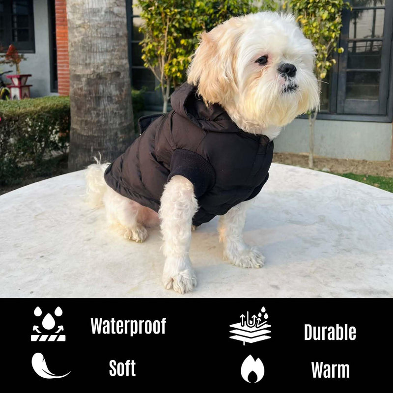 Winter Hoodie Jacket for Small Breed Dog (Black)