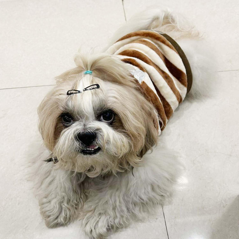 Winter Hoodie Jacket for Small Breed Dog (Brown-White)