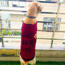 Summer T-shirt For Pets