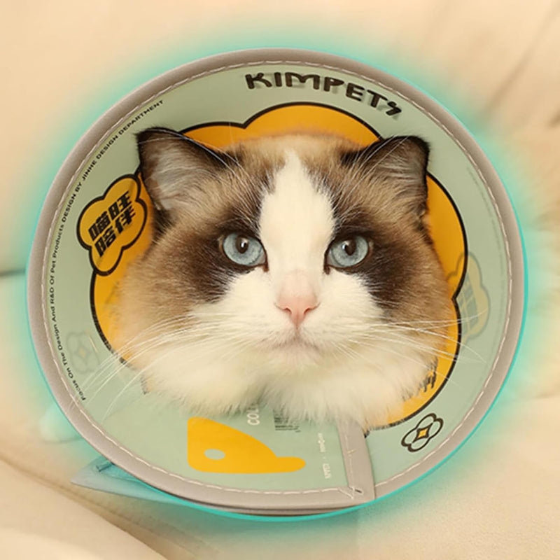 Adjustable Cat and Dog Recovery Cone E-Collar for Post-Surgery Healing