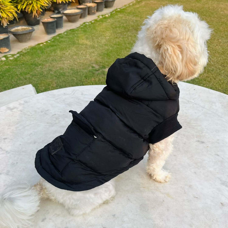 Winter Hoodie Jacket for Small Breed Dog (Black)