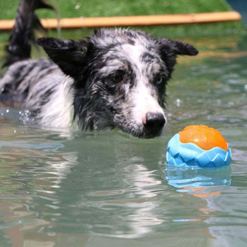 Non-Toxic Natural Rubber Toy Ball For (Dogs Color May Vary)