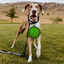 Collapsible Travel Bowl  for Dog-Cat