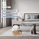 Owl Design Cat Scratcher Toy with  Feather and Catnip Balls