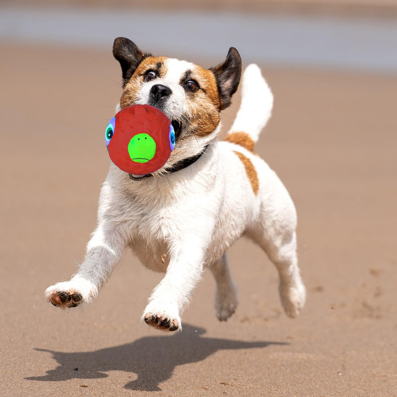 Animal Face Toy Ball for Dogs