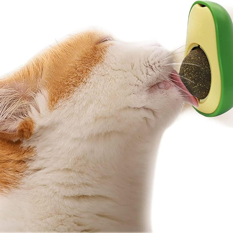 Avocado Shape Catnip Ball Toy For Cats