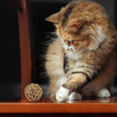 Sound Ball For Indoor Cats