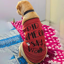 Summer T-shirt For Pets