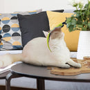 Owl Design Cat Scratcher Toy with  Feather and Catnip Balls