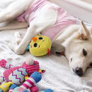 Cute Animal Squeaky Pet Dog Chew Toy