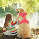 Adjustable Harnesses For Dogs