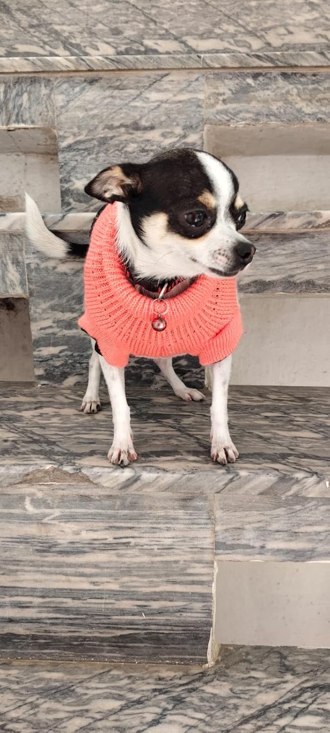 Sweater For Small Dogs Cats (Peach)