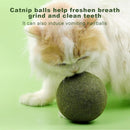 Natural Catnip Ball Toy for Cats