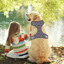 Adjustable Harnesses For Dogs