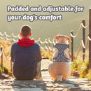 Adjustable Harnesses For Dogs