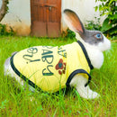 Summer T-shirt For Pets