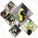 Summer T-shirt For Pets