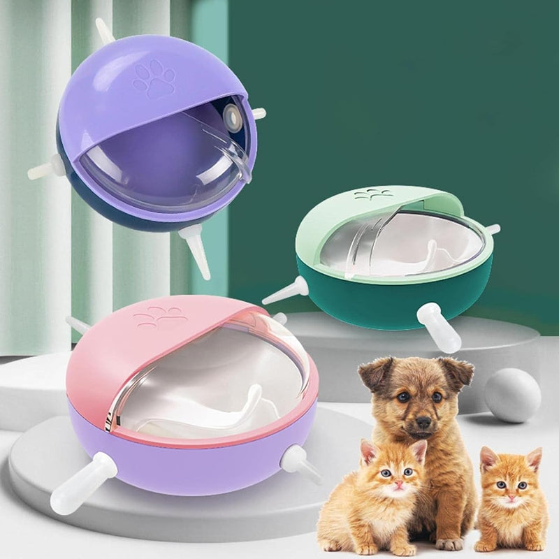 Feeder Bowl For Small Dog Cat