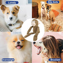 Plush Dog Toy Monkey Shape Playing Squeaky Toy