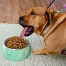 Anti-Skid Melamine Stainless Steel Bowls For Dogs