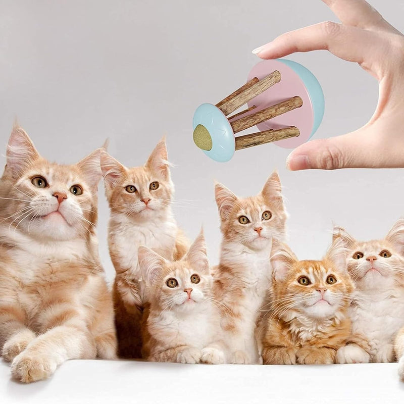 Interactive Tumbler Cat Toy