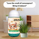 Scented Deodorizing Beads for Cat Litter Cantaloupe