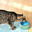 Anti-Skid Melamine Stainless Steel Bowls For Dogs