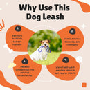 Flexible Bungee Leash For Dogs