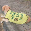Summer T-shirt For Pets