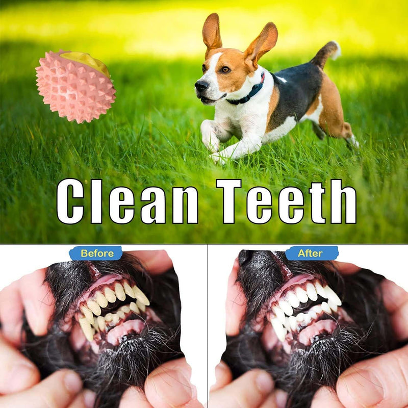 Non-Toxic Natural Rubber Chew Toys For Medium Large Dogs