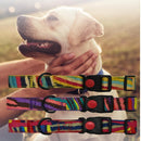 Collar With Safety Locking Buckle For Small Pets