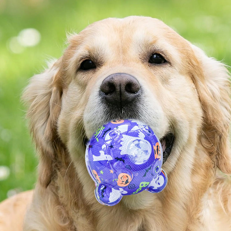 Squeaky Ball Toy For Dog