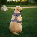 Adjustable Harnesses For Dogs