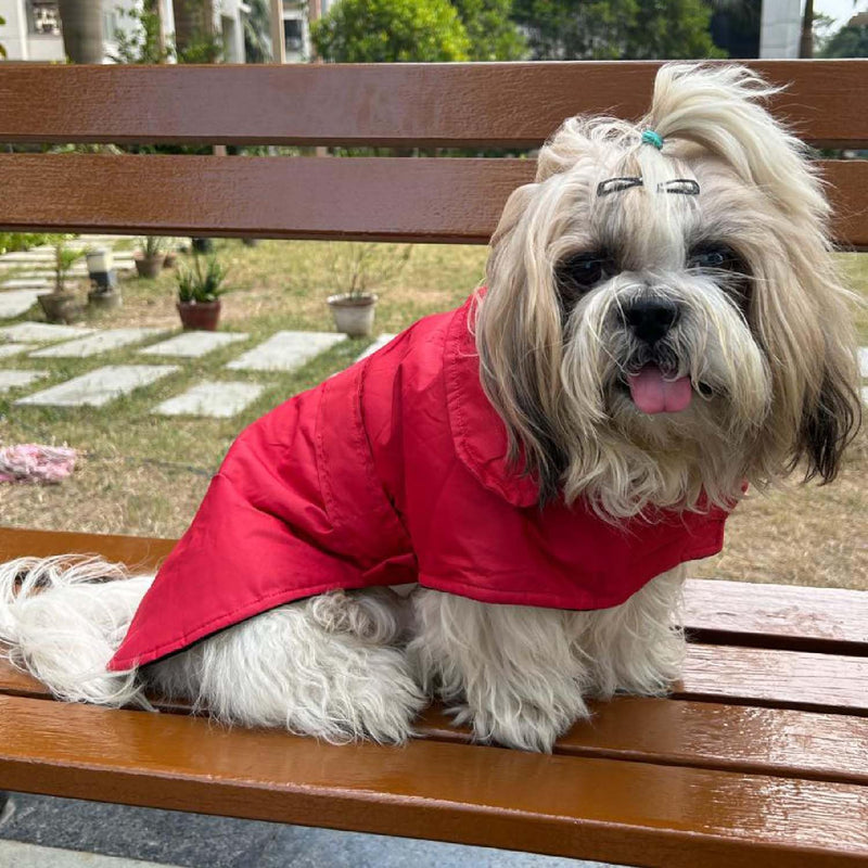 Winter Jacket for Small Breed Dog (Red)