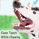 Plush Dog Toy With Rope & Tennis Ball Squeaker Inside