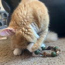 Interactive Catnip Necklace for Cats: Silver Vine Cat Chew Toy