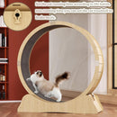 Wooden Cat Exercise Wheel with Carpeted Runway