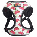 Adjustable Harnesses For Dogs