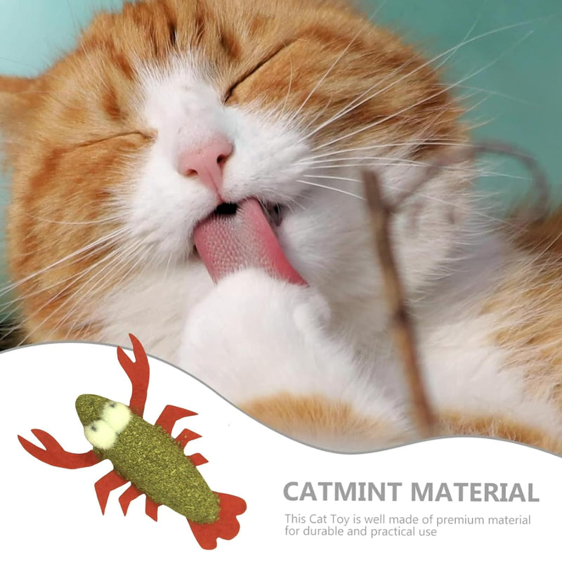 Catnip Toys For Cat 4PCS