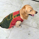 Printed T-Shirts For Pets