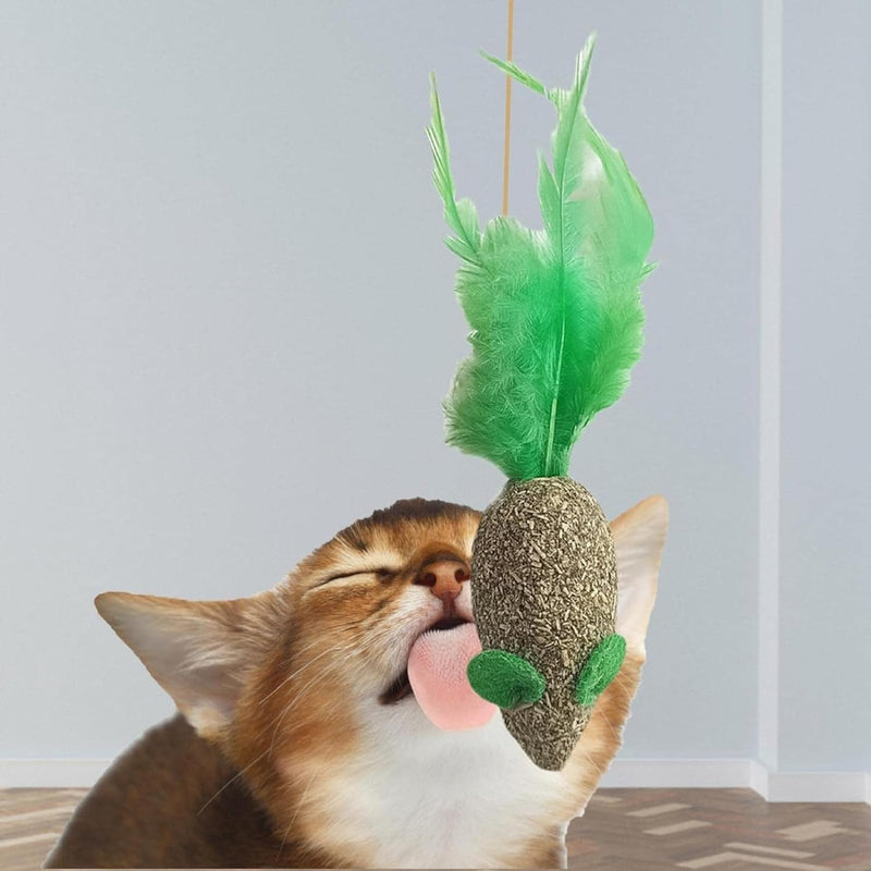 Catnip Balls Toy For Cat