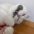 Catnip Lollipop Chew Toy for Cats