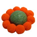 Catnip Chew Toy for Cats - Dental Care and Bonding